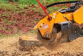 Best Lawn Maintenance Plans  in Bellville, OH