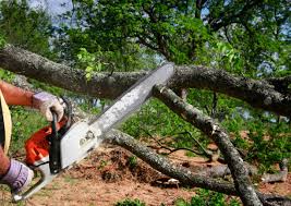 Best Weed Control  in Bellville, OH